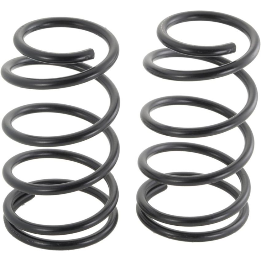 Autopart International Coil Spring Set 270495949