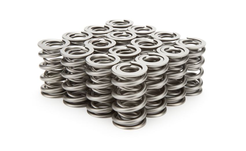 PAC RACING SPRINGS PACPAC-1209X-16 1.324 Dual Valve Springs - RPM Series (16)