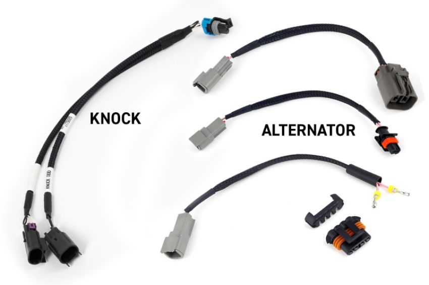 Haltech HT-220201 NEXUS Rebel LS Gen III Cable Throttle/EV1 Injectors/Manual Transmission