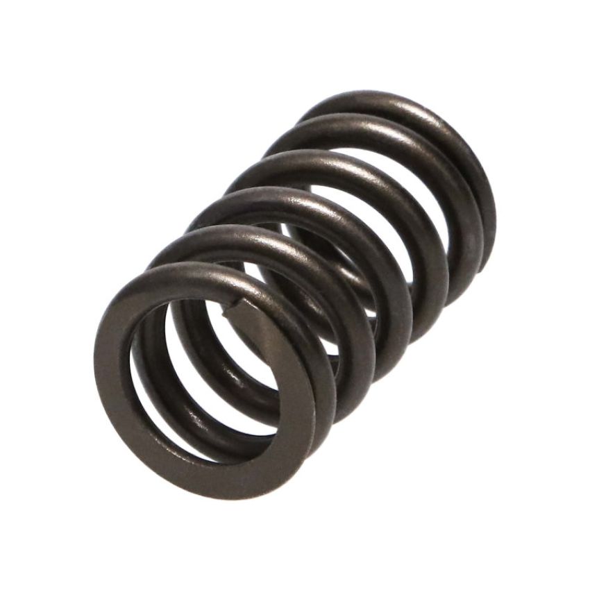 Manley Performance 22145-16 Manley Honda (K20A3 K24A) 16pc Valve Springs