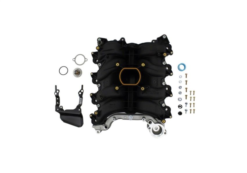 Ford Racing M-9424-P46A 4.6L 2V Performance Improvement Intake Manifold