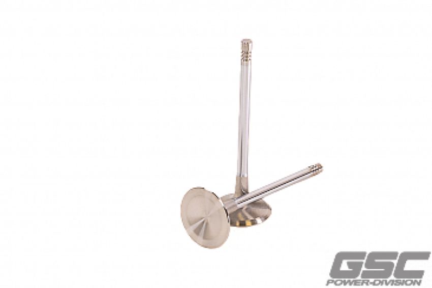 GSC Power Division 2256-01 GSC  P-D Audi DAZA 33.9mm Head STD 104mm Long Chrome Polished Intake Valve - Single