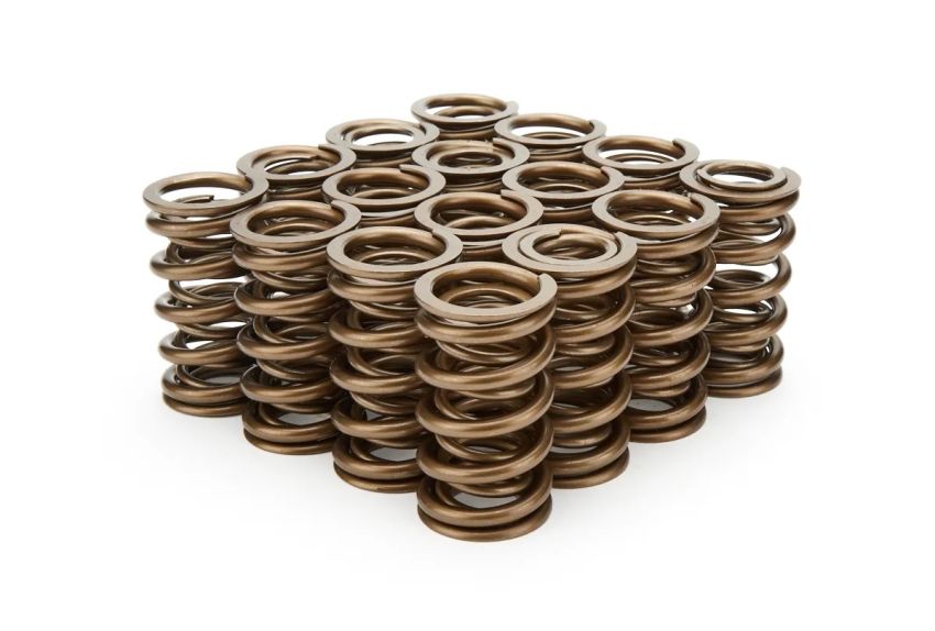 PAC RACING SPRINGS PACPAC-1371-16 1.374 Dual Valve Springs - (16)