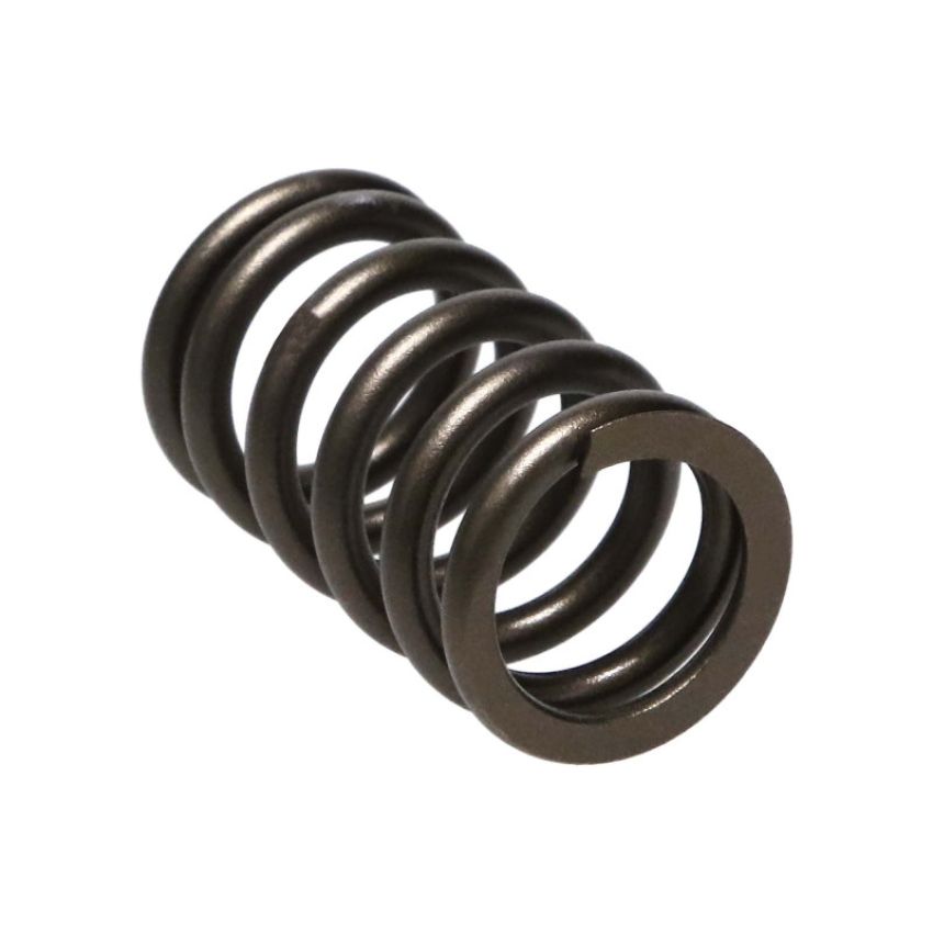 Manley Performance 22165-16 Manley Nissan (SR20DE SR20DET) 16pc Valve Springs