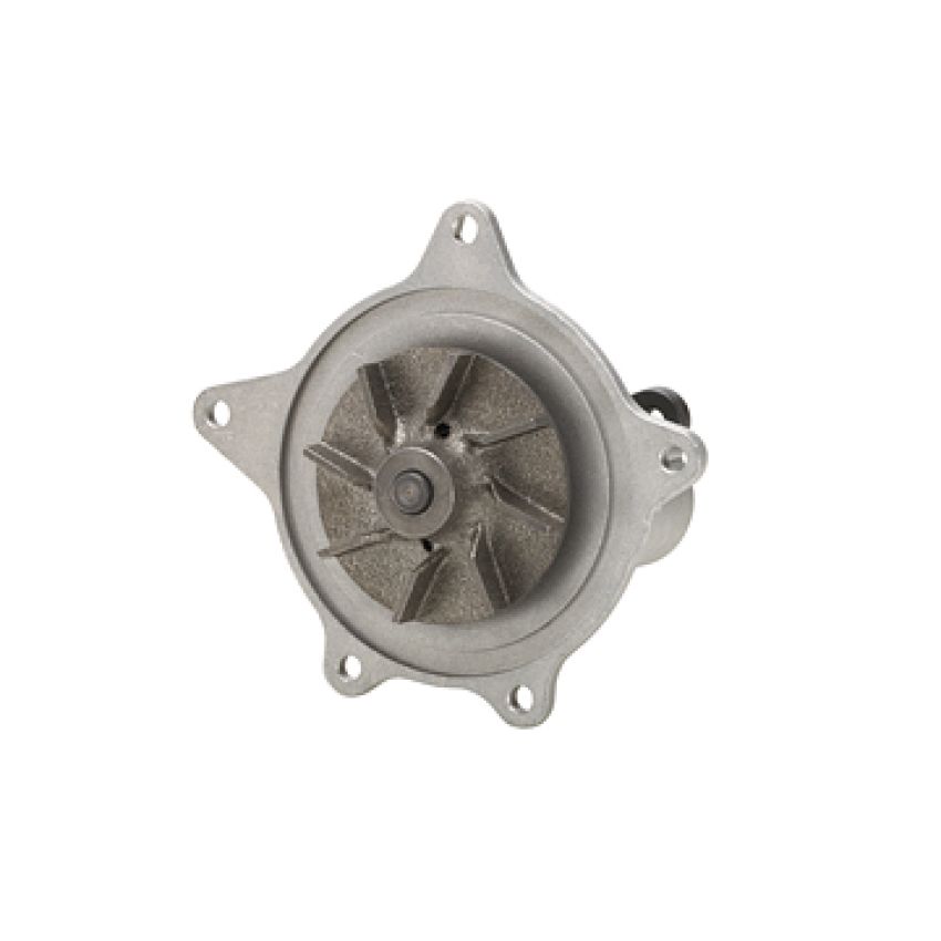 Dayco DP969 Water Pump
