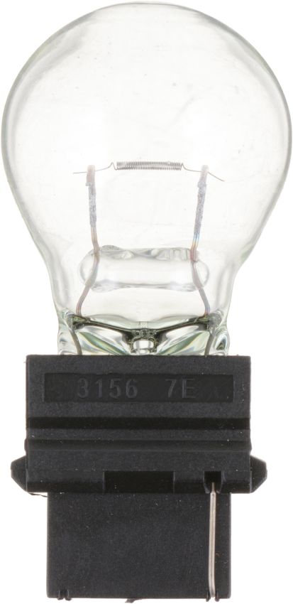 Philips 3156CP Philips Standard Miniature 3156 Pack of 10