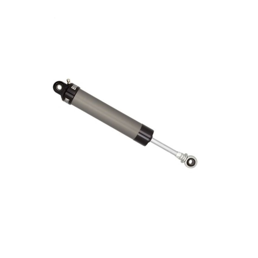 Bilstein 33247854 AS2 Series - Suspension Shock Absorber