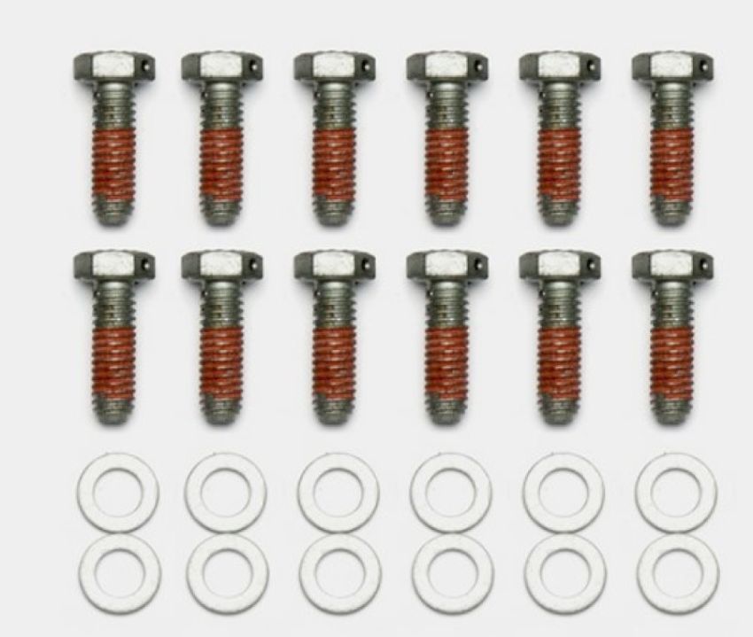 Wilwood 230-14086 Bolt Kit - 5/16-18 x 1.00 LG - 12 pk
