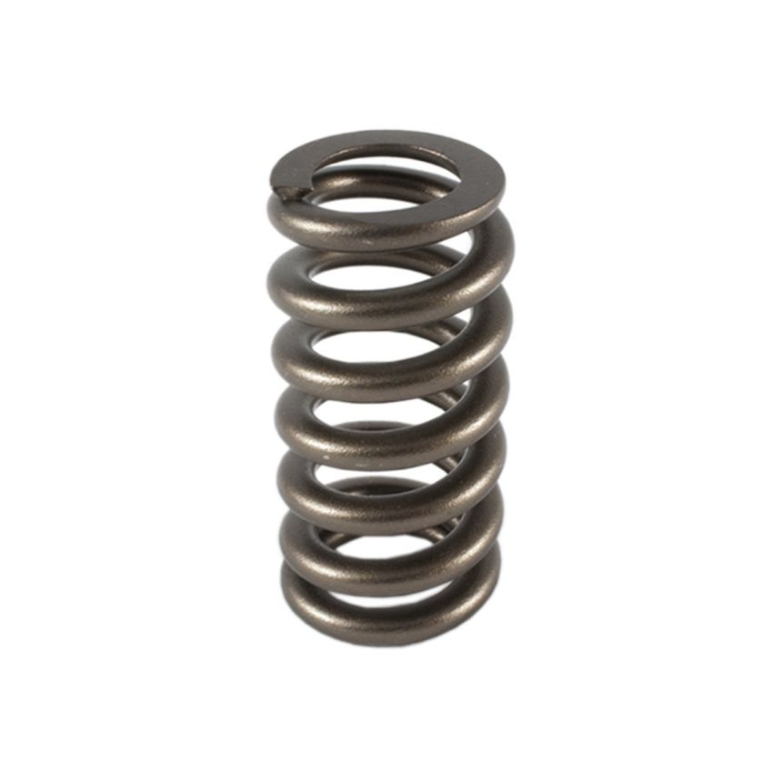 PAC RACING SPRINGS PACPAC-1219-1 1.307 Valve Spring - 1pk Ovate Beehive