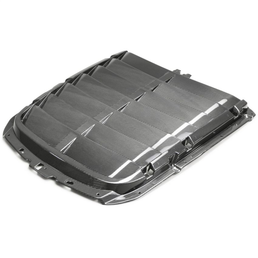 Ford Racing M-16612-C20 2020-2022 GT500 Carbon Fiber Hood Vent Kit