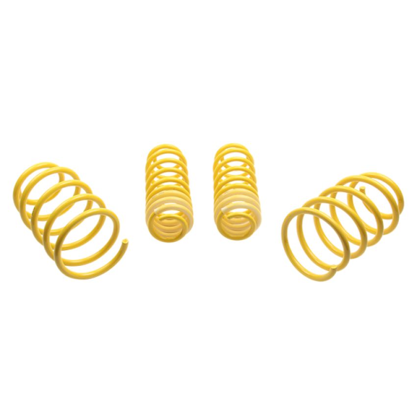Suspension (65627 ST LOWERING SPRINGS)