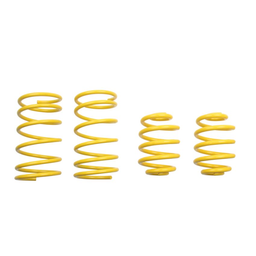 Suspension (65202 ST LOWERING SPRINGS)