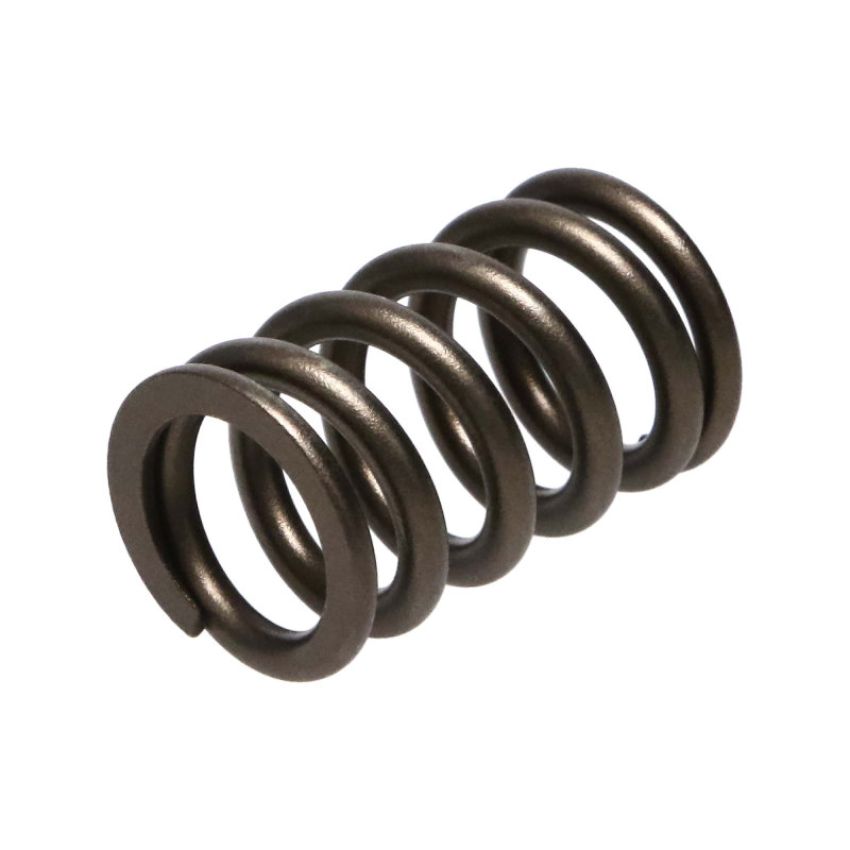 Manley Performance 22175-24 Manley Nissan (RB26DET) 24pc Valve Springs