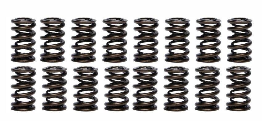 PAC RACING SPRINGS PACPAC-1203-16 1.260 Dual Valve Springs
