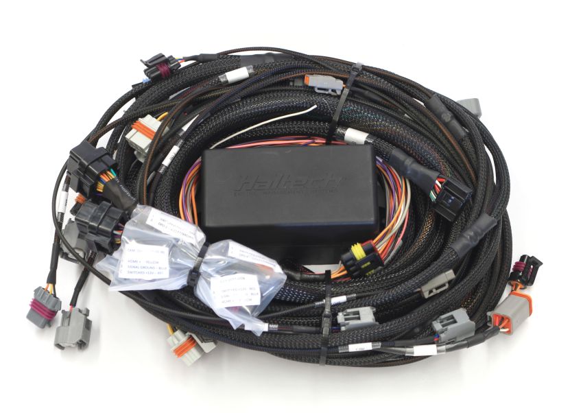 Haltech HT-141362 GM GEN III LS1/LS6 & GEN IV LS2/LS3 (DBW Retrofit Ready) Elite 2500 Terminated Harness