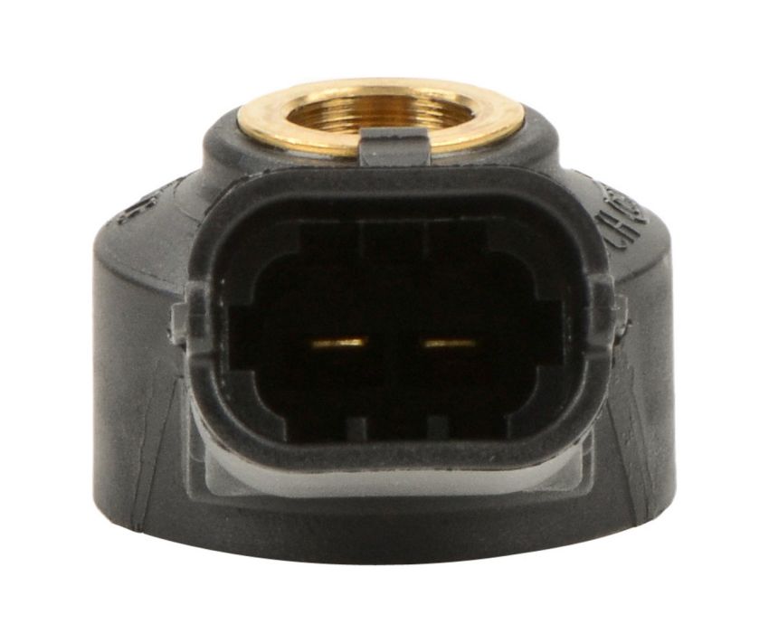 Bosch 0261231173 Bosch Knock Sensor