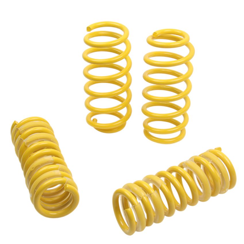 Suspension (65503 ST LOWERING SPRINGS)