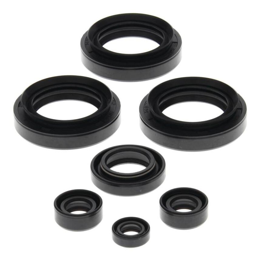 Vertex Pistons 822145 Vertex Gaskets 99-05 Arctic Cat 250 2x4 Oil Seal Kit