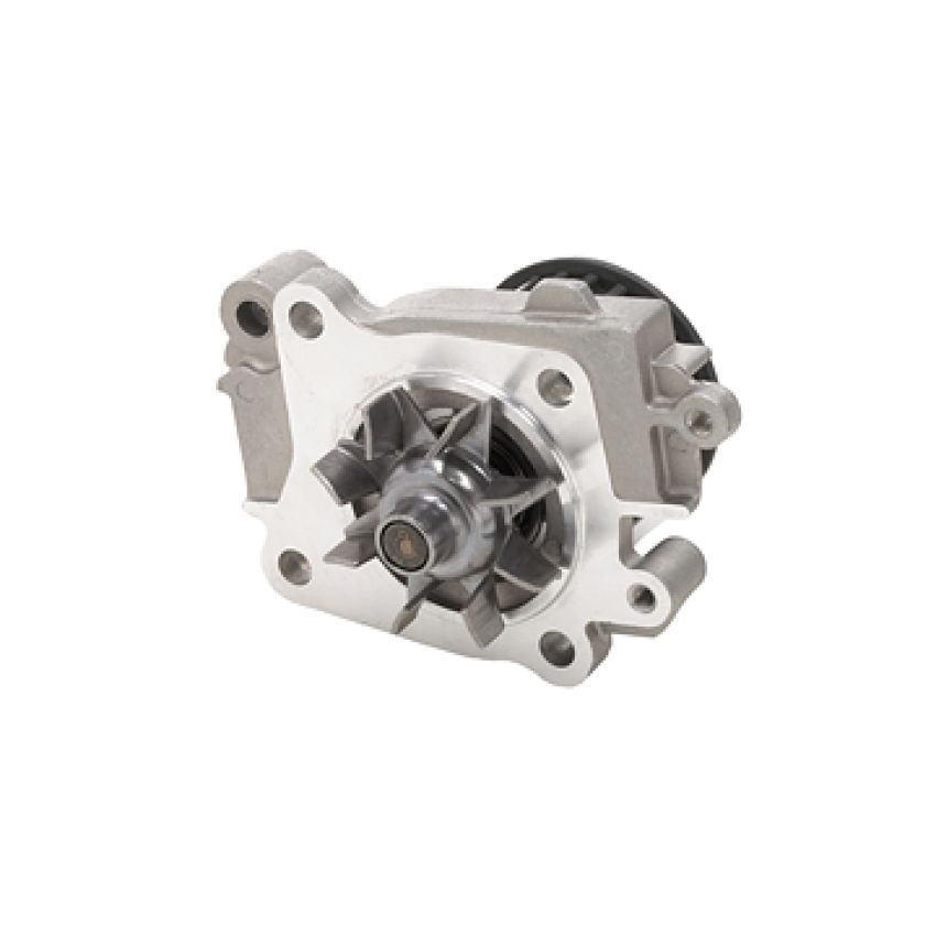 Dayco DP242 Water Pump