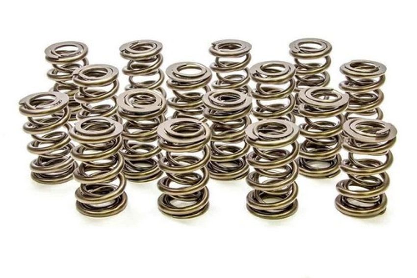 PAC RACING SPRINGS PACPAC-1228-16 1.625 Dual Valve Springs - (16)