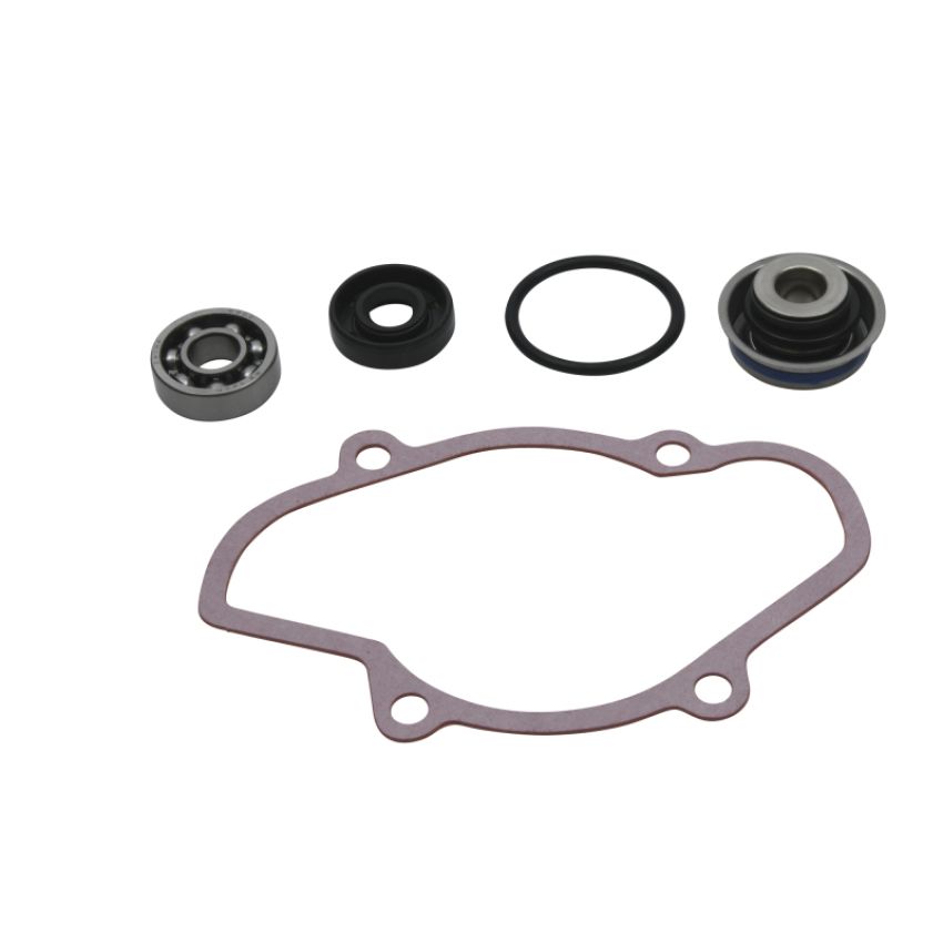 Vertex Pistons 721312 Vertex Gaskets 16-18 Ski-Doo Expedition 800 2-Stroke ETEC Water Pump Rebuild Kit