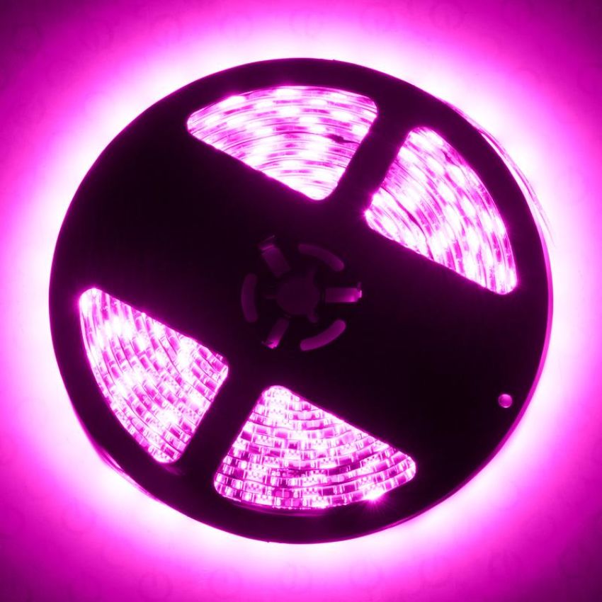 Oracle Lighting 4222-009 Exterior Flex LED Spool, Pink