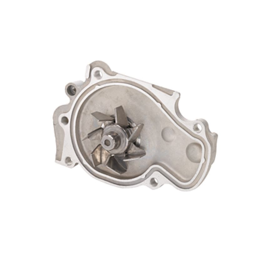 Dayco DP556 Water Pump
