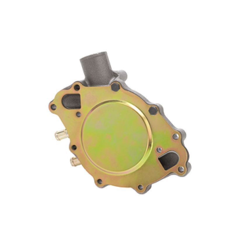 Dayco DP810 Water Pump