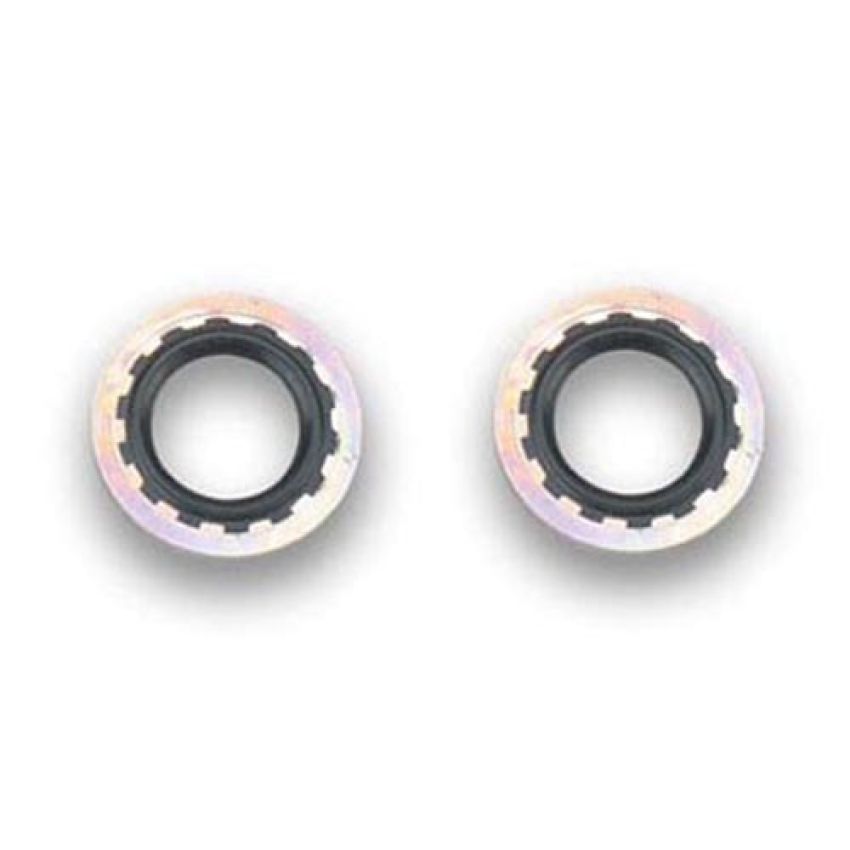 EARLS EAR178014ERL Stat-O-Seals 7/8in -10AN 2pk