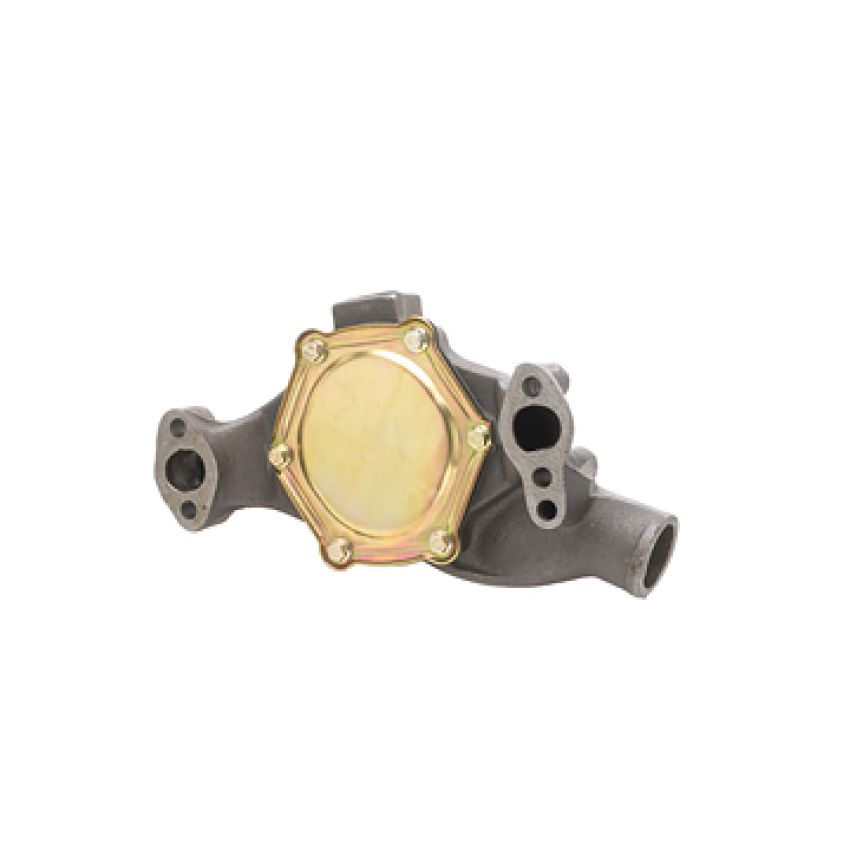 Dayco DP819 Water Pump