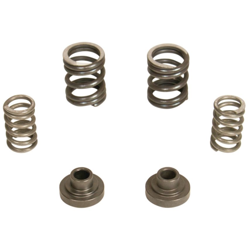 BD Diesel 1040187 BD 5.9L Cummins Governor Springs P7100 Pump 3000RPM Dodge 1994-1998 12-valve