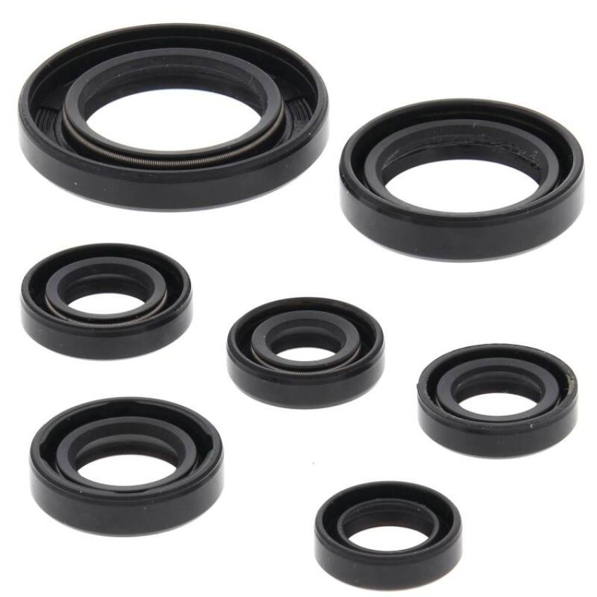 Vertex Pistons 822311 Vertex Gaskets 02-14 Honda TRX250TE Recon Oil Seal Kit