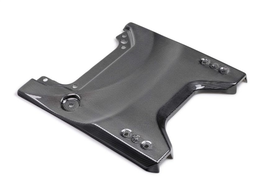 Ford Racing M-16600-BG 2022-2025 Bronco Raptor Carbon Fiber Tailgate Applique-Gloss