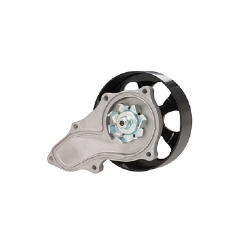 Dayco DP413 Water Pump