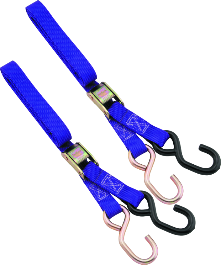 BikeMaster 100512 1in Tiedown - Purple