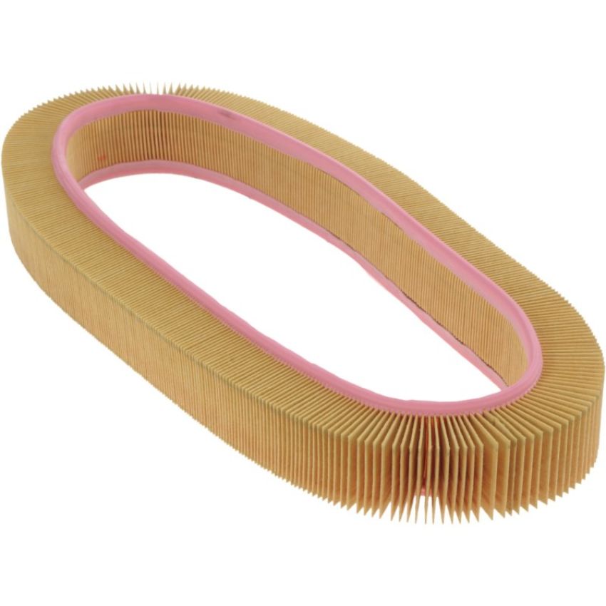 Autopart International Air Filter 500001079