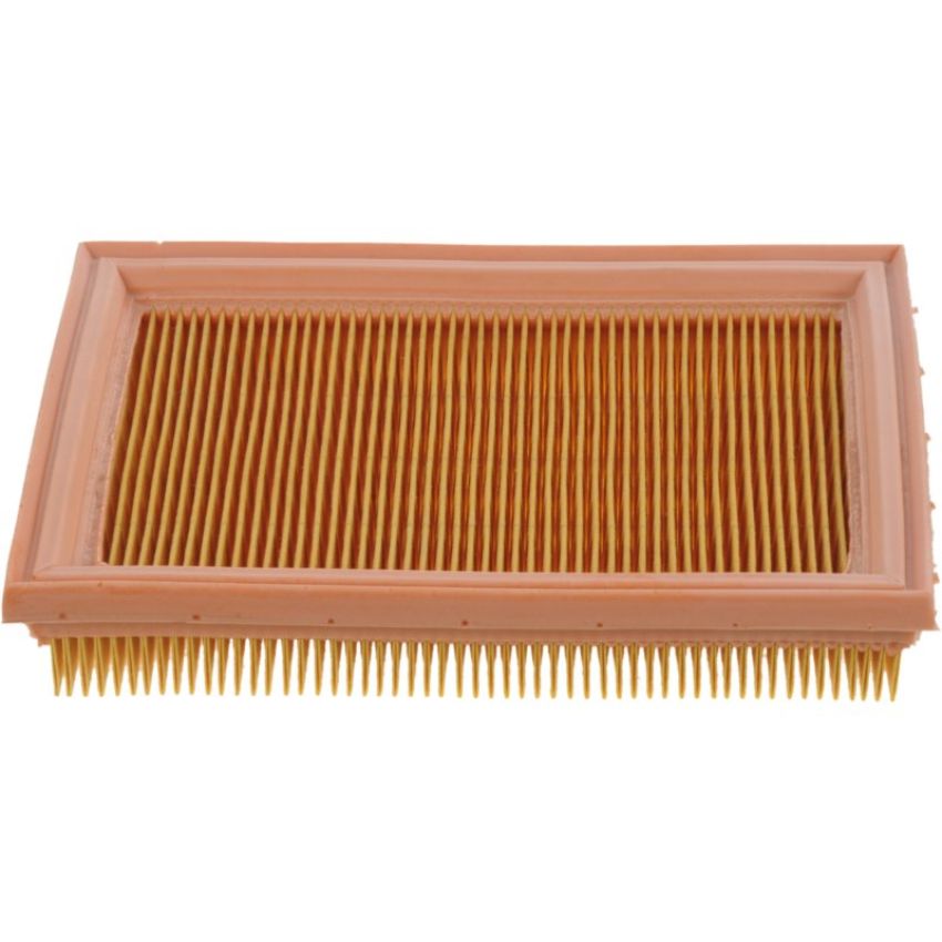 Autopart International Air Filter 500029218