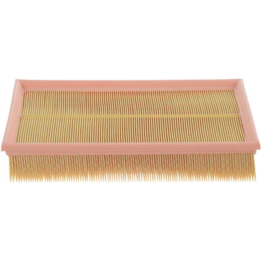 Autopart International Air Filter 500029253