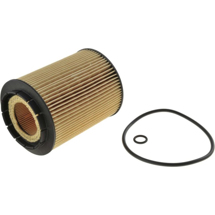 Autopart International Oil Filter 500116961
