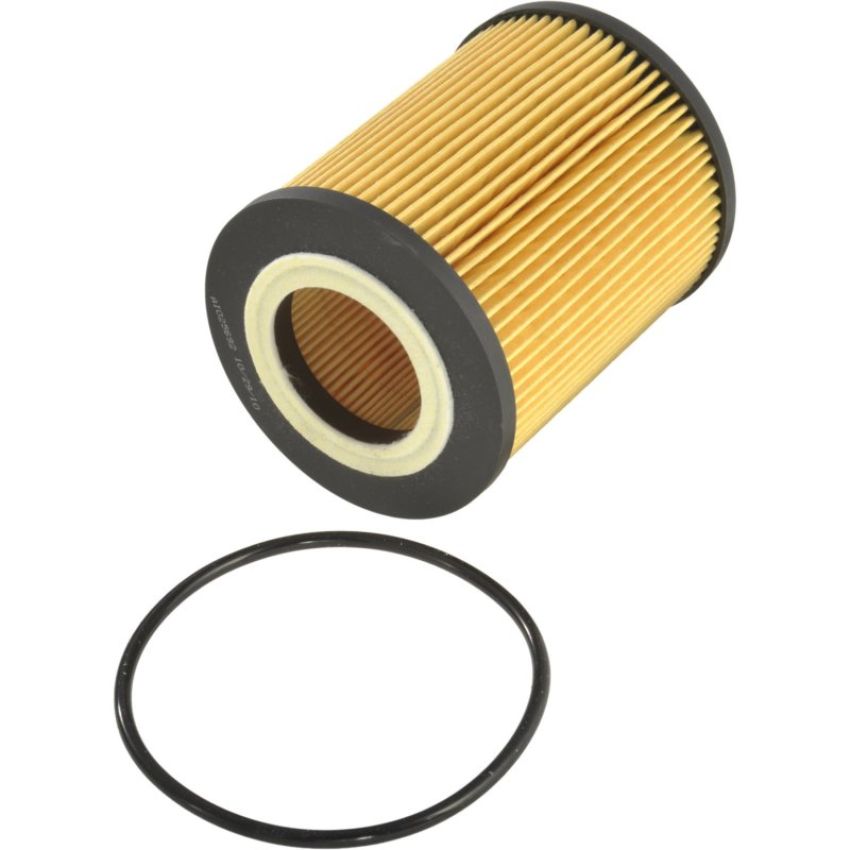 Autopart International Oil Filter 5001233083