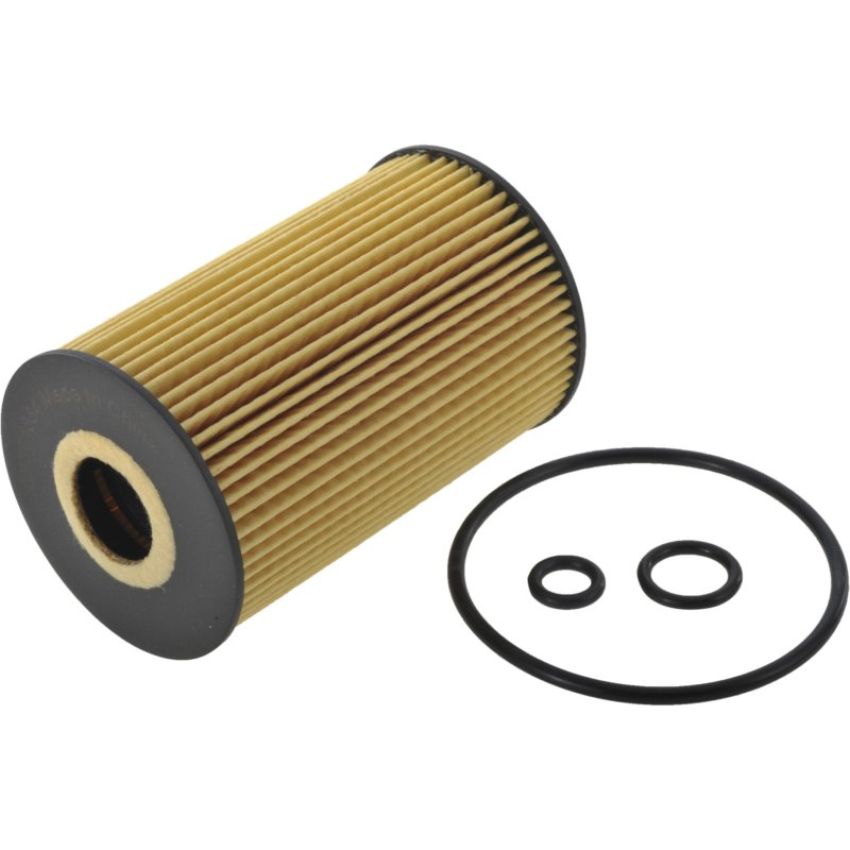 Autopart International Oil Filter 5001480179