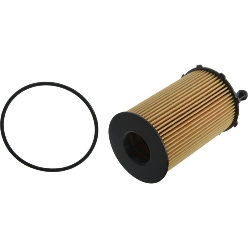 Autopart International Oil Filter 5001538883