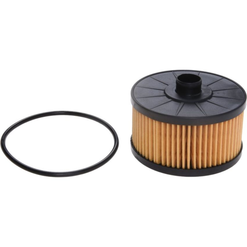 Autopart International Oil Filter 5001548060