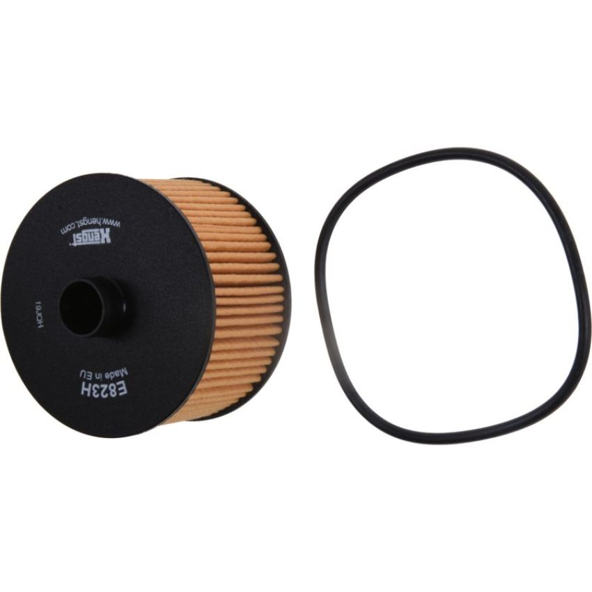 Autopart International Oil Filter 5001548064