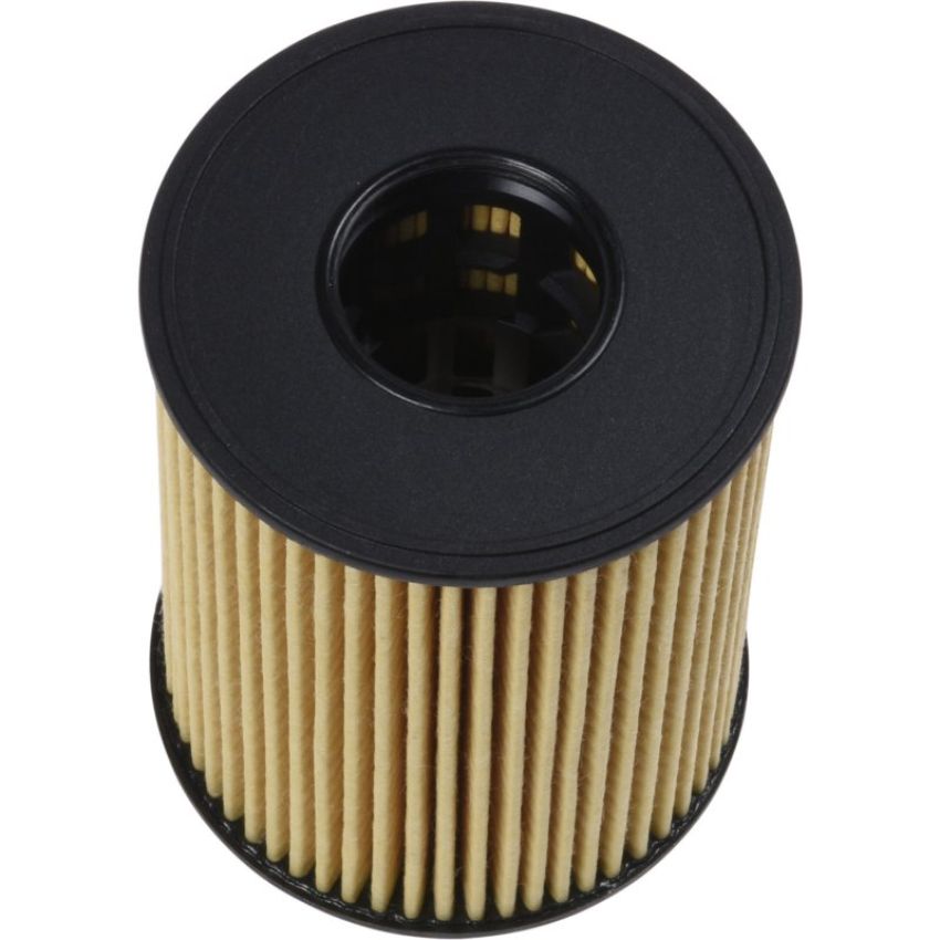 Autopart International Oil Filter 5001704855