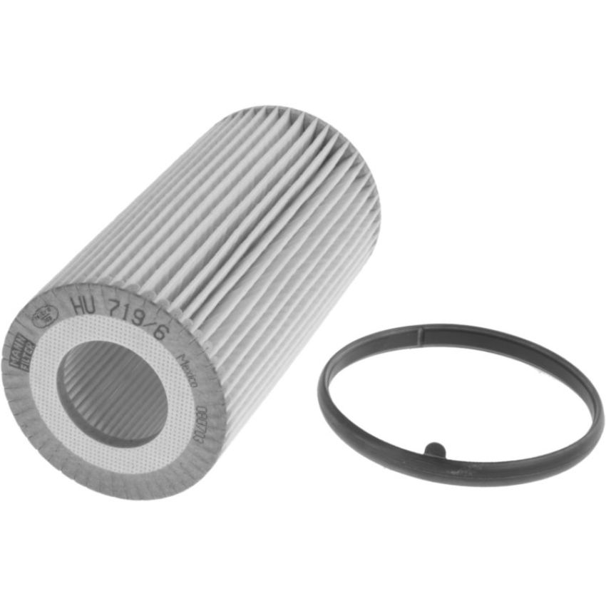 Autopart International Oil Filter 500198164