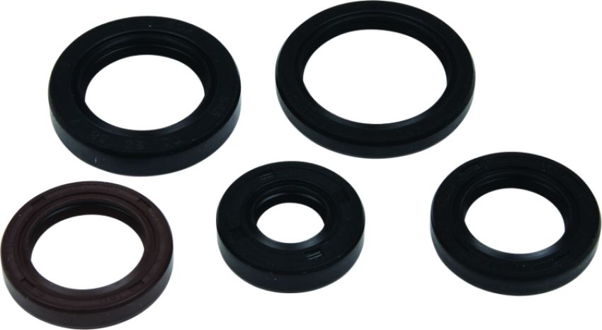 Vertex Pistons 822394 Vertex Gaskets 05-23 Polaris Phoenix 200 Oil Seal Kit