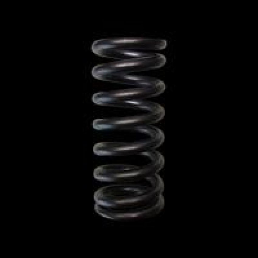 Brian Crower BC1089 Honda L15 Single Valve Springs (Set of 16)