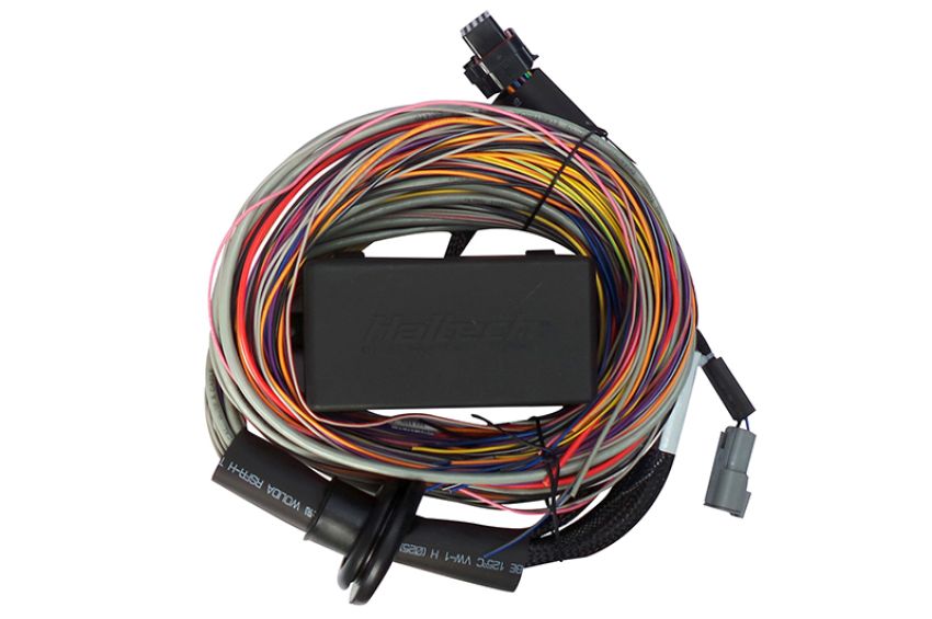 Haltech HT-140604 Elite 750 8ft Premium Universal Wire-In Harness