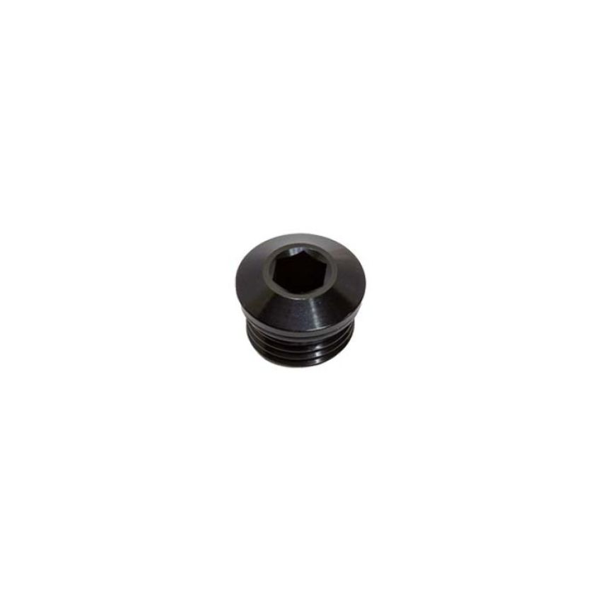 Snow Performance SNF-60006 -6 ORB Plug